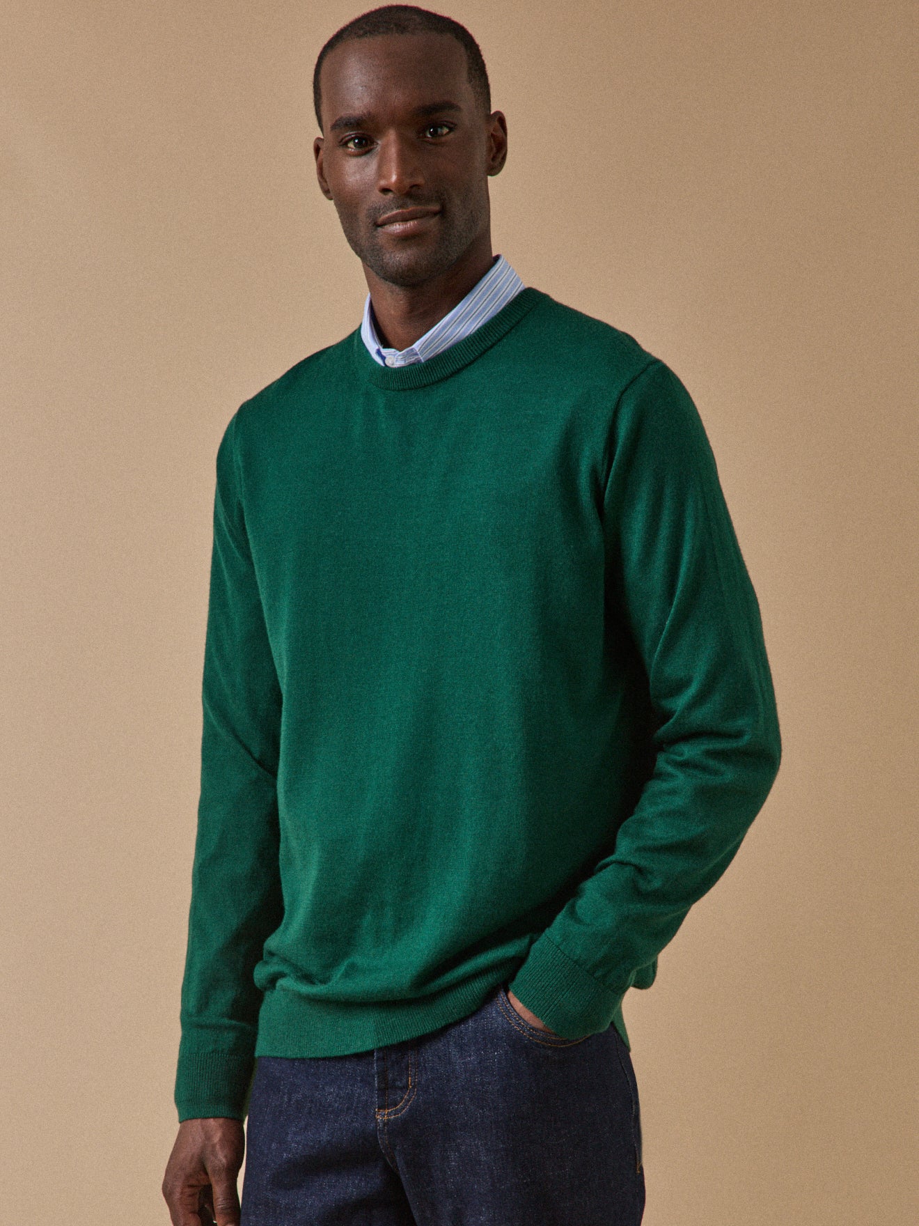 Pull fin col rond laine mérinos homme Cyrillus FR