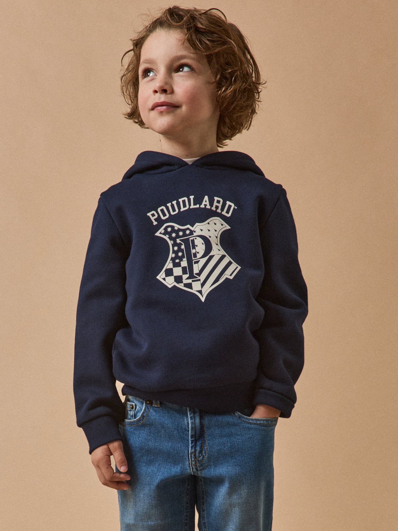 Pulls Gilets Pull Harry Potter Cyrillus Pull En V, Coton Et