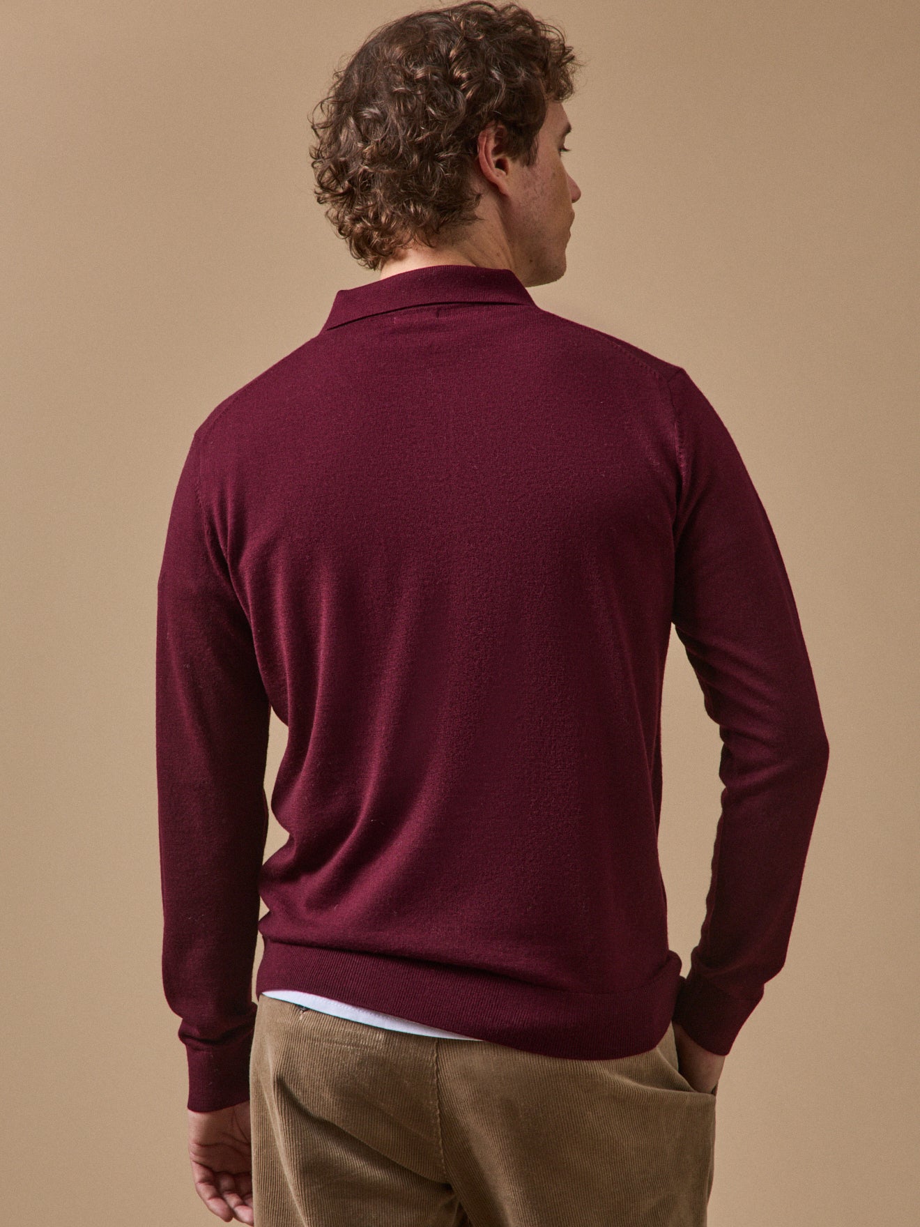 Pull fin col polo laine mérinos homme