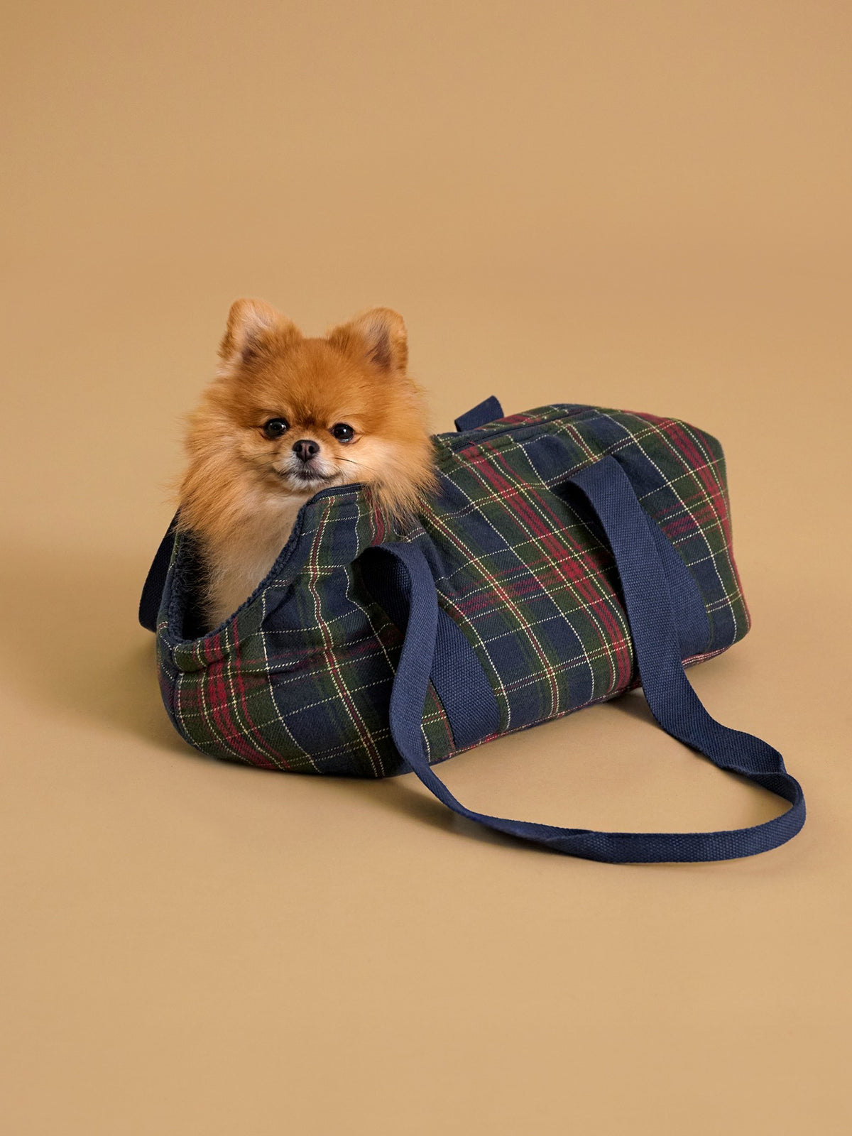 Sac de transport pour animaux - Collection Fine Truffe