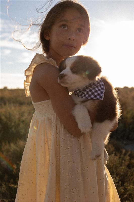 69B2374_89362111-8a8a-4ee6-9522-b21a78b5e6cd