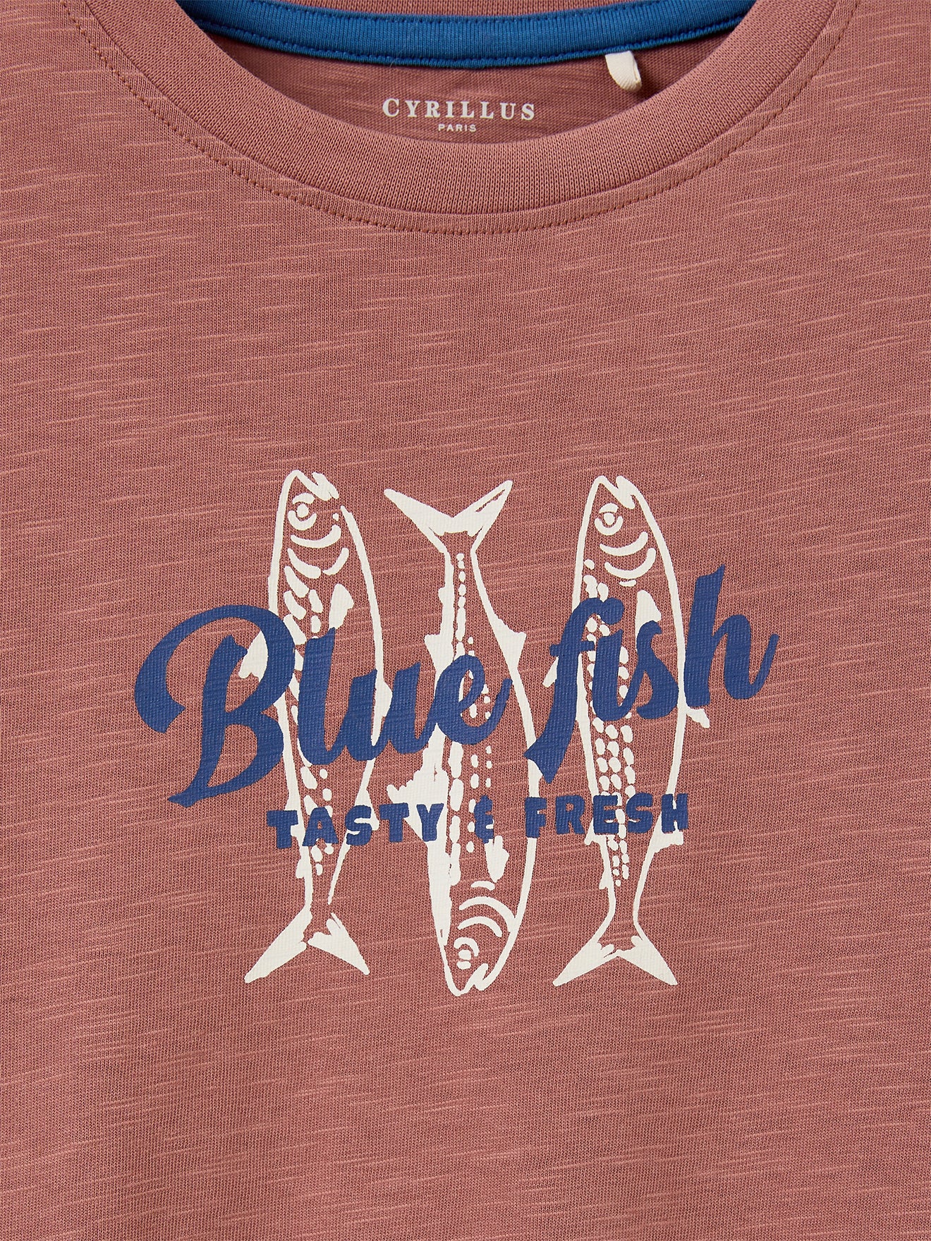 T-shirt imprimé garçon - Coton biologique