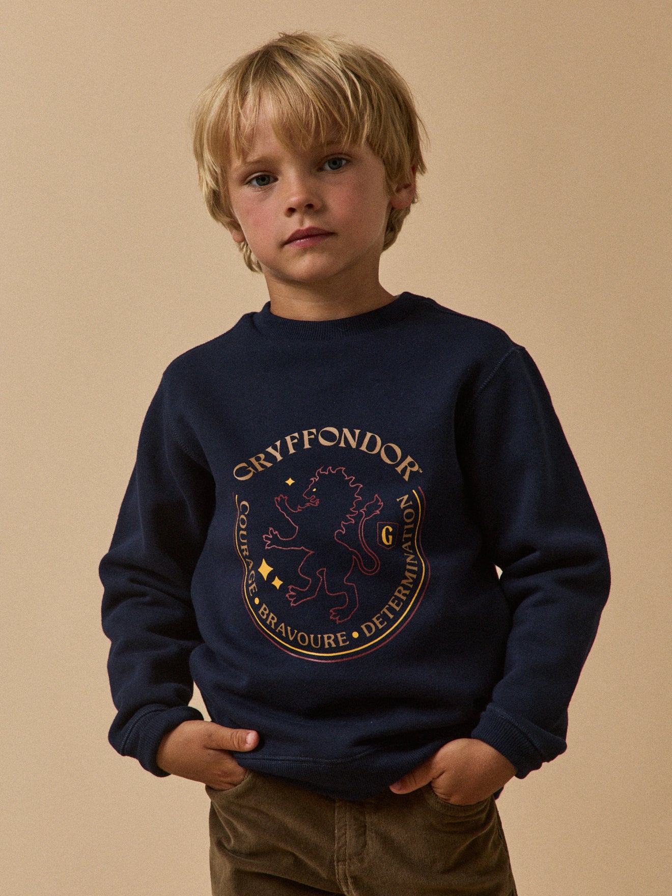 Sweat Enfant Collection Harry Potter