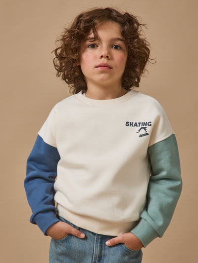 Sweat "colorblock" Garçon