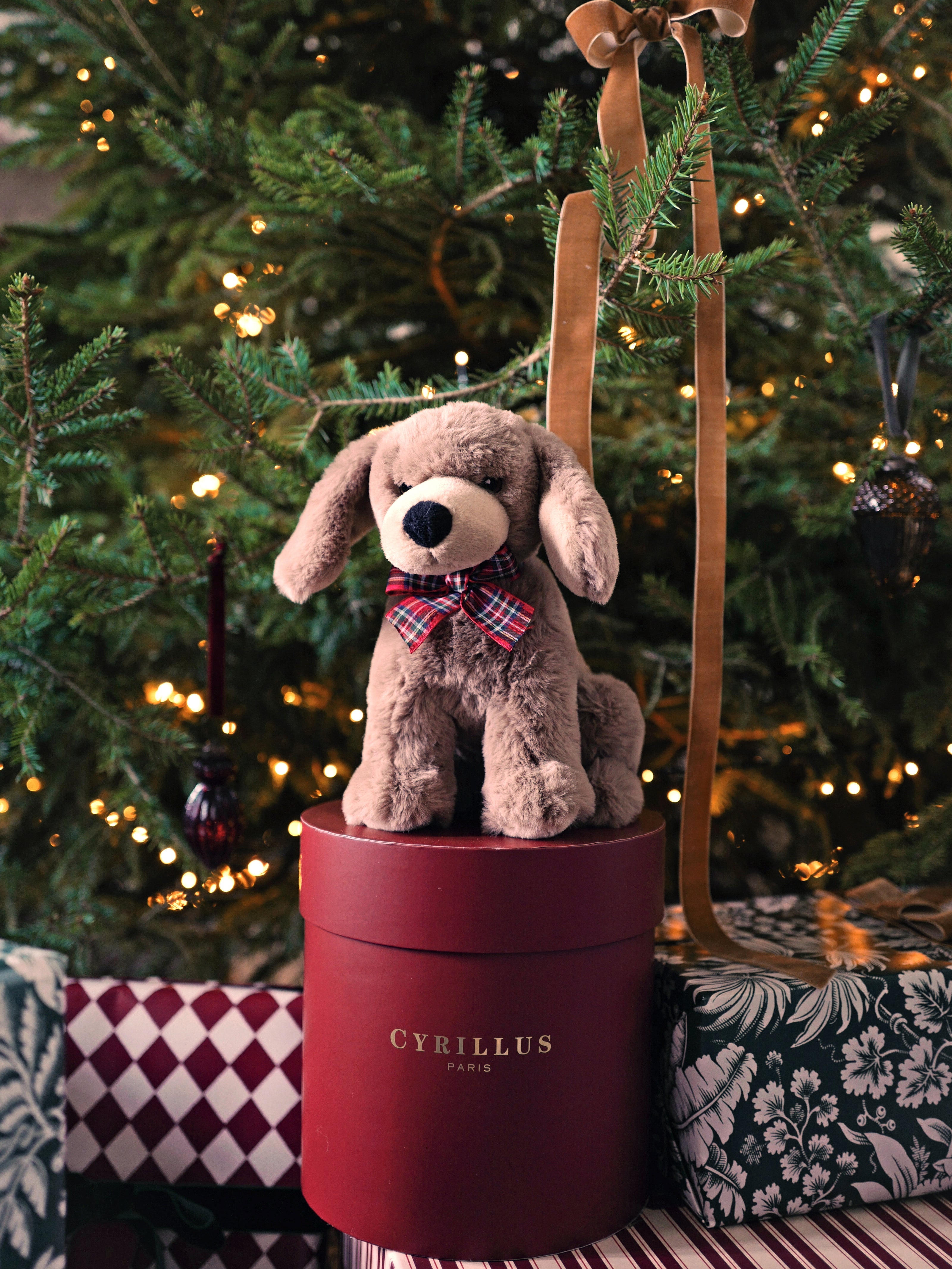 Peluche Chien Moka - Vente Solidaire